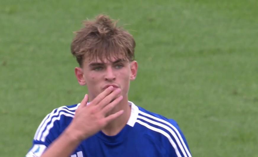 拉菲尼亚作 拉菲尼亚作