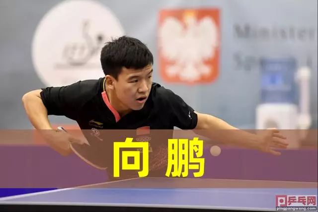 得分不仅仅 得分不仅仅